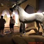 2019_OTRA_0538 (September 01, 2019)